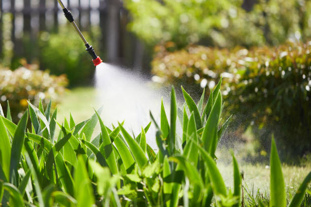 24/7 Emergency Ant Control experts in Byrdstown, TN