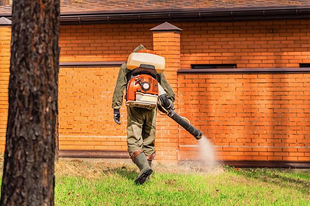 Trusted Emergency Pest Control service in Byrdstown, TN - Nex Pest Control
